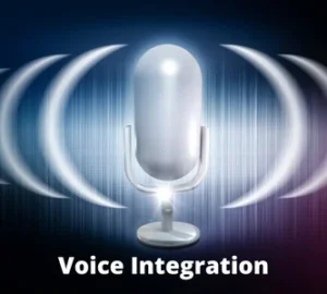 Voice Integration